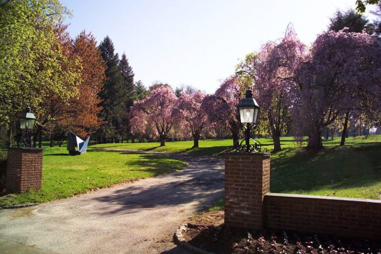 Employment Opportunities